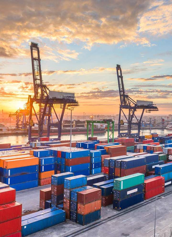 Vente de matières matières premières cosmétiques provenant des chameaux, Paris